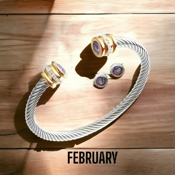 New! FEBRUARY birthstone bracelet - BTQ - Picture 1 of 6